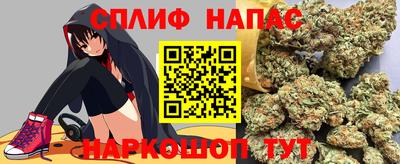 дмт Краснодар