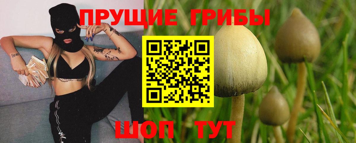 Псилоцибиновые грибы мицелий  Вход с VPN  Галлюциногенные грибы прущие грибы  Касимов 